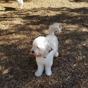 Meet your Posher, Jeff